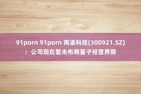 91porn 91porn 南凌科技(300921.SZ)：公司现在暂未布局量子经营界限