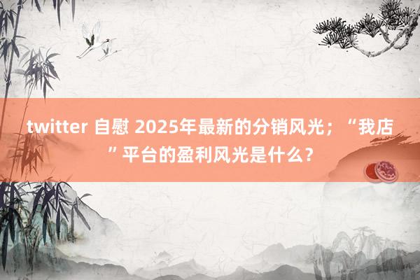 twitter 自慰 2025年最新的分销风光；“我店”平台的盈利风光是什么？