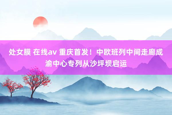 处女膜 在线av 重庆首发！中欧班列中间走廊成渝中心专列从沙