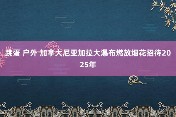 跳蛋 户外 加拿大尼亚加拉大瀑布燃放烟花招待2025年