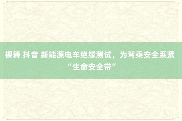 裸舞 抖音 新能源电车绝缘测试，为驾乘安全系紧 “生命安全带”