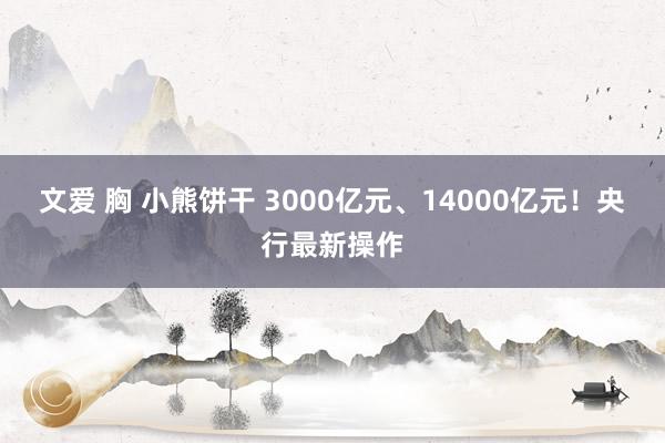 文爱 胸 小熊饼干 3000亿元、14000亿元！央行最新操