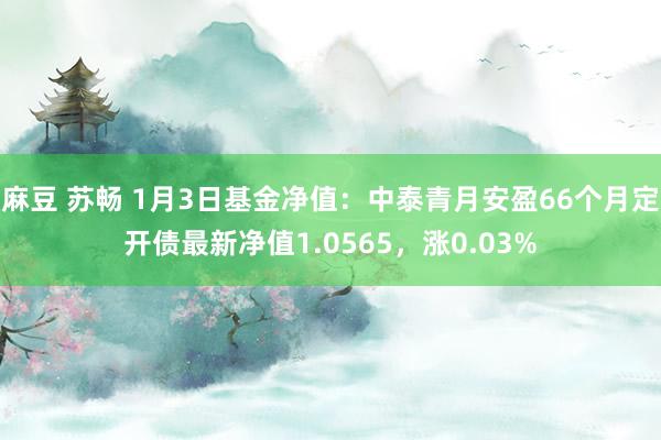 麻豆 苏畅 1月3日基金净值：中泰青月安盈66个月定开债最新