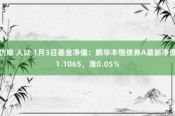 伪娘 人妖 1月3日基金净值：鹏华丰恒债券A最新净值1.1065，涨0.05%