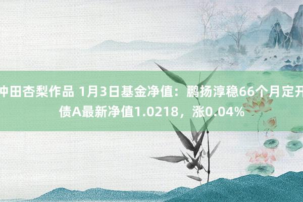 冲田杏梨作品 1月3日基金净值：鹏扬淳稳66个月定开债A最新净值1.0218，涨0.04%