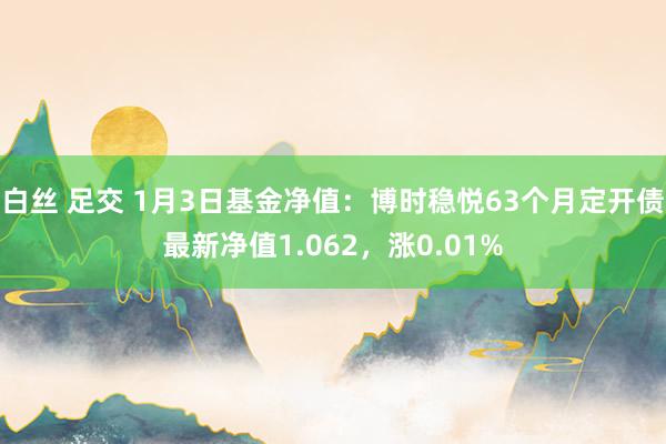 白丝 足交 1月3日基金净值：博时稳悦63个月定开债最新净值1.062，涨0.01%