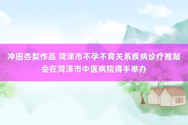 冲田杏梨作品 菏泽市不孕不育关系疾病诊疗推敲会在菏泽市中医病院得手举办