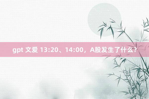 gpt 文爱 13:20、14:00，A股发生了什么？