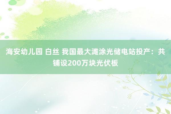 海安幼儿园 白丝 我国最大滩涂光储电站投产：共铺设200万块