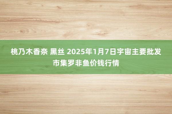 桃乃木香奈 黑丝 2025年1月7日宇宙主要批发市集罗非鱼价