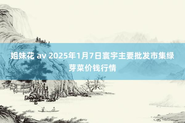 姐妹花 av 2025年1月7日寰宇主要批发市集绿芽菜价钱行