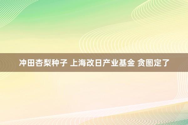 冲田杏梨种子 上海改日产业基金 贪图定了