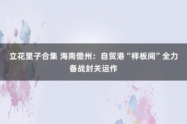 立花里子合集 海南儋州：自贸港“样板间”全力备战封关运作