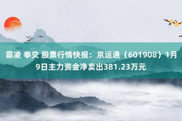 霸凌 拳交 股票行情快报：京运通（601908）1月9日主力资金净卖出381.23万元