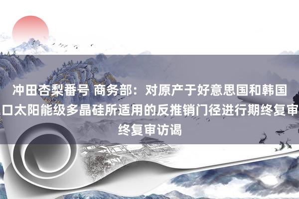 冲田杏梨番号 商务部：对原产于好意思国和韩国的入口太阳能级多晶硅所适用的反推销门径进行期终复审访谒