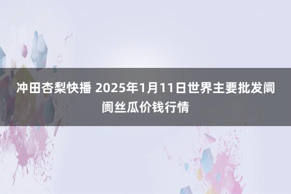 冲田杏梨快播 2025年1月11日世界主要批发阛阓丝瓜价钱行情