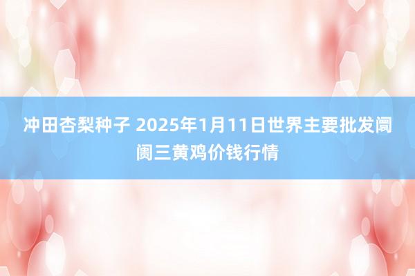 冲田杏梨种子 2025年1月11日世界主要批发阛阓三黄鸡价钱行情