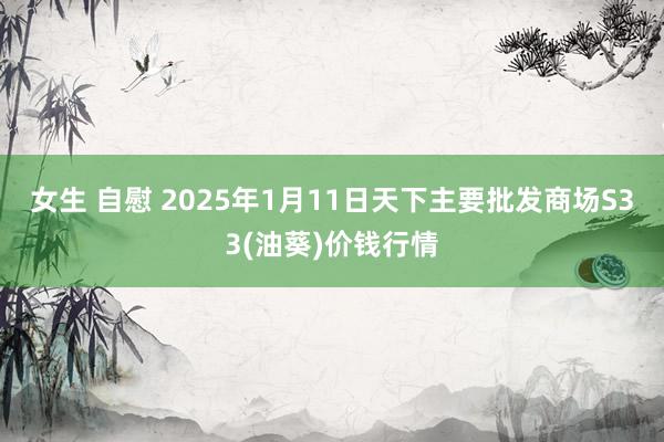 女生 自慰 2025年1月11日天下主要批发商场S33(油葵)价钱行情