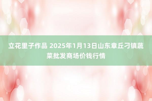 立花里子作品 2025年1月13日山东章丘刁镇蔬菜批发商场价