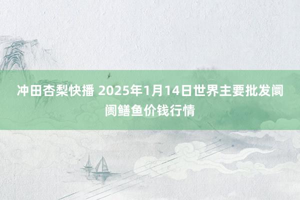 冲田杏梨快播 2025年1月14日世界主要批发阛阓鳝鱼价钱行情