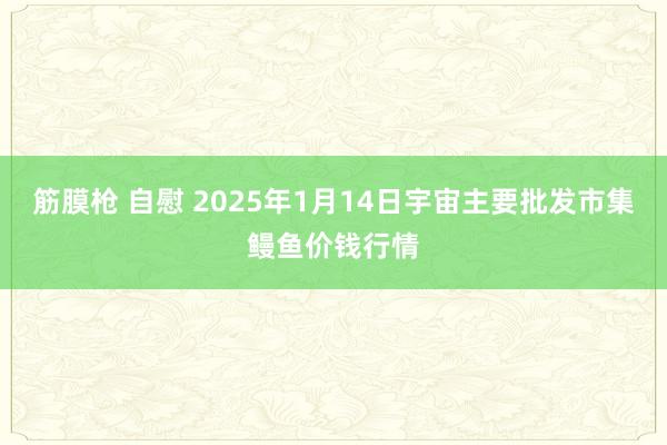 筋膜枪 自慰 2025年1月14日宇宙主要批发市集鳗鱼价钱行情