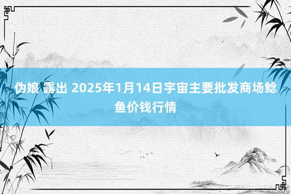 伪娘 露出 2025年1月14日宇宙主要批发商场鲶鱼价钱行情