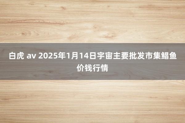 白虎 av 2025年1月14日宇宙主要批发市集鲳鱼价钱行情