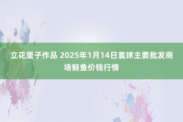 立花里子作品 2025年1月14日寰球主要批发商场鲢鱼价钱行